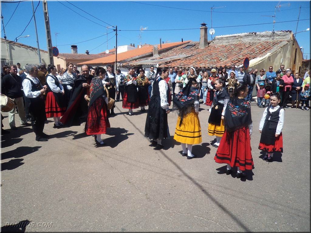 sanmarcos2013_seve_procesion-bailes_118.JPG